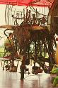 Le Manege Carre Senart concu par Francois Delaroziere 100